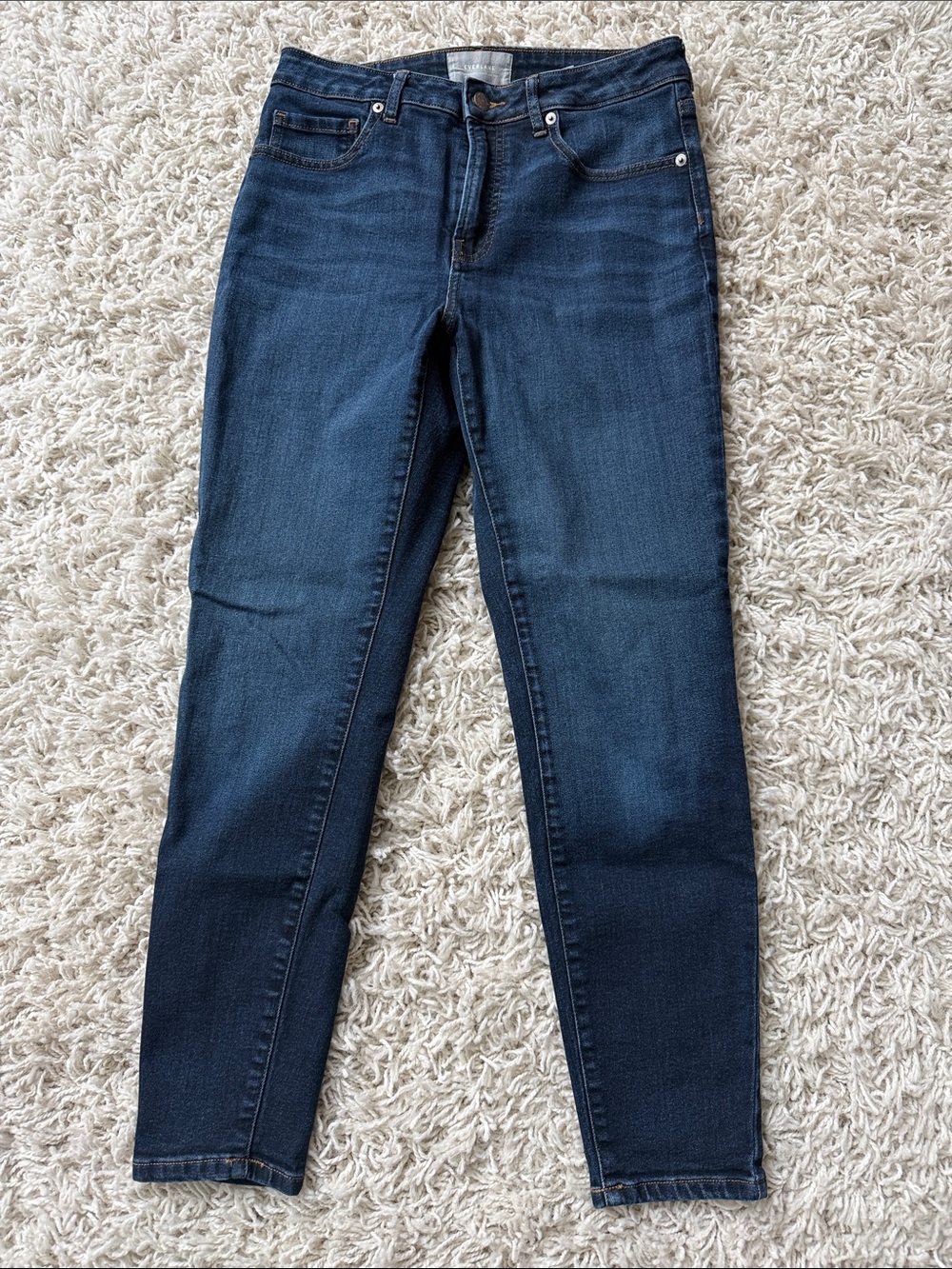 Everlane Indigo Skinny Jeans